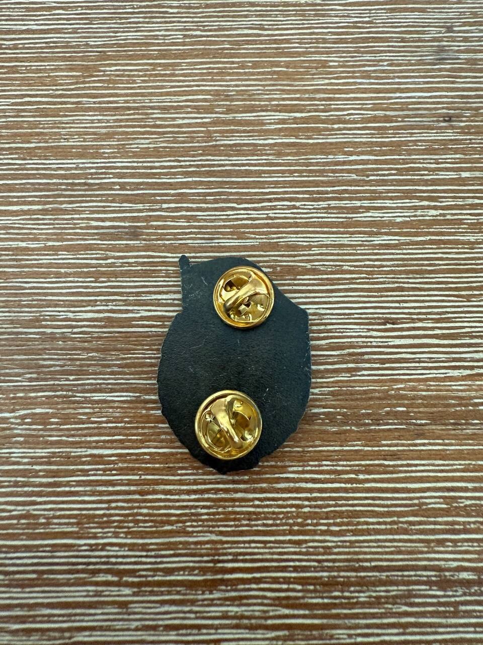 Russian National Guard (Rosgvardia) Pin Badge - Flag & Emblem