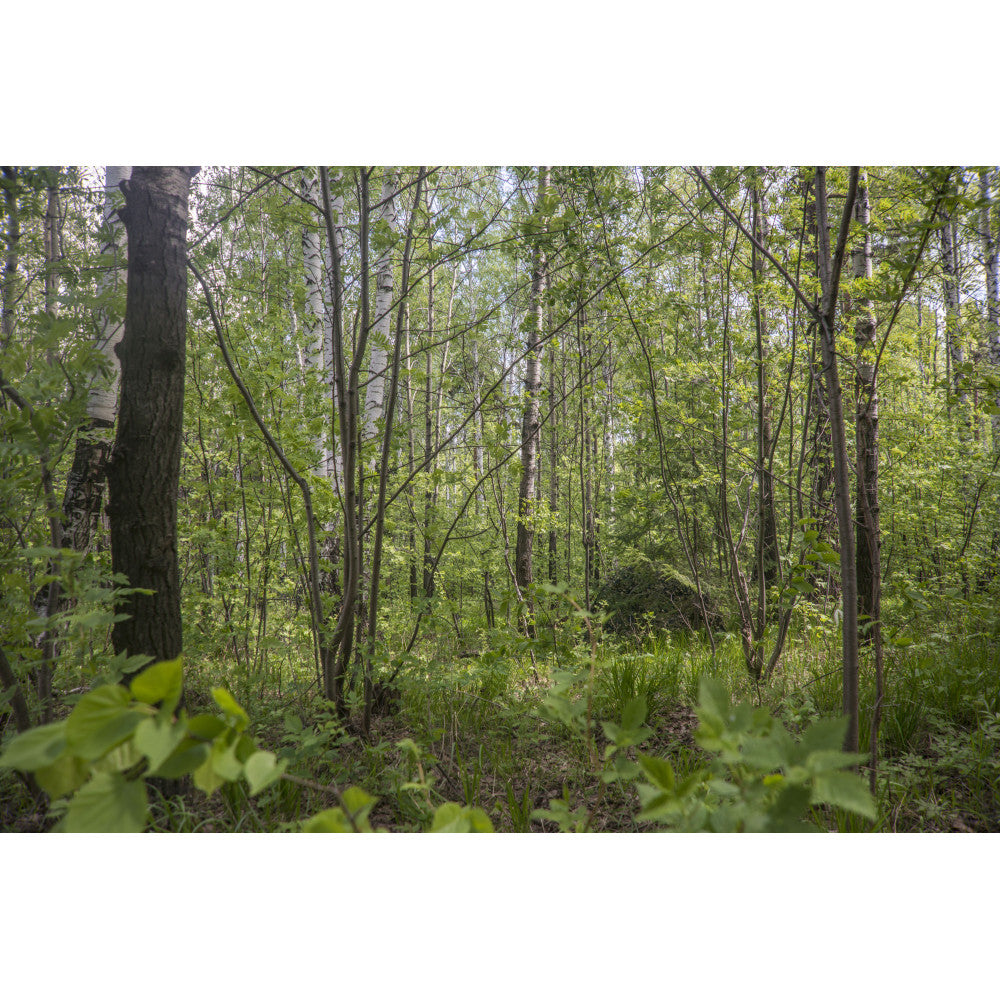 Preorder: Russian Stich Profi "Mirage" Universal Camouflage Net