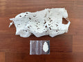 Russian Winter White Leaf Camouflage Helmet Cover