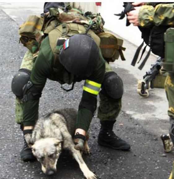 Russian Military Reflective Armbands - Set of 2pcs