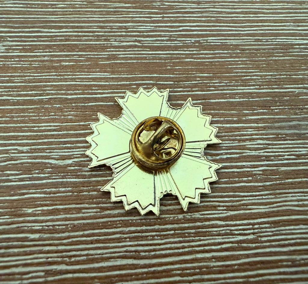 Russian GRU Service Pin