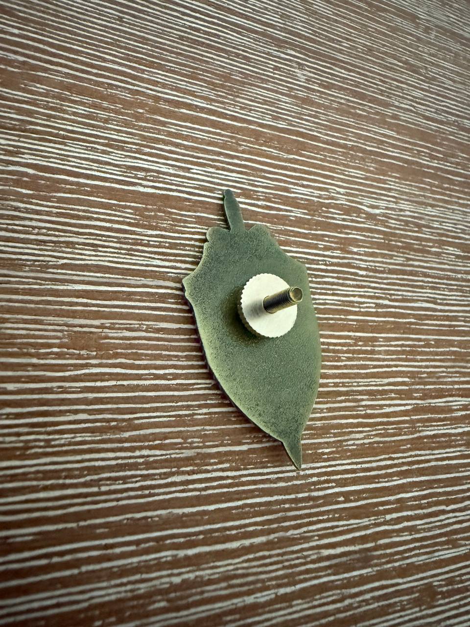 Backside view of the Russian FSB Pin – Shield & Sword showing the fastening pin and textured metal surface against a wood grain background.