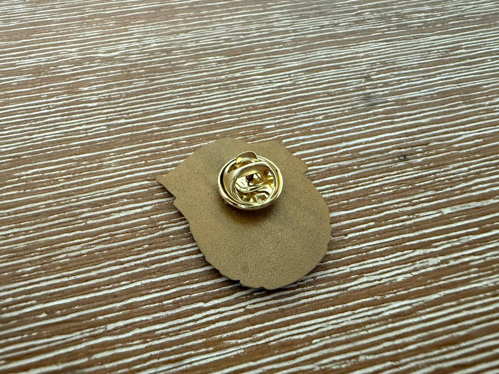 Russian Donetsk People's Republic (DNR) Pin