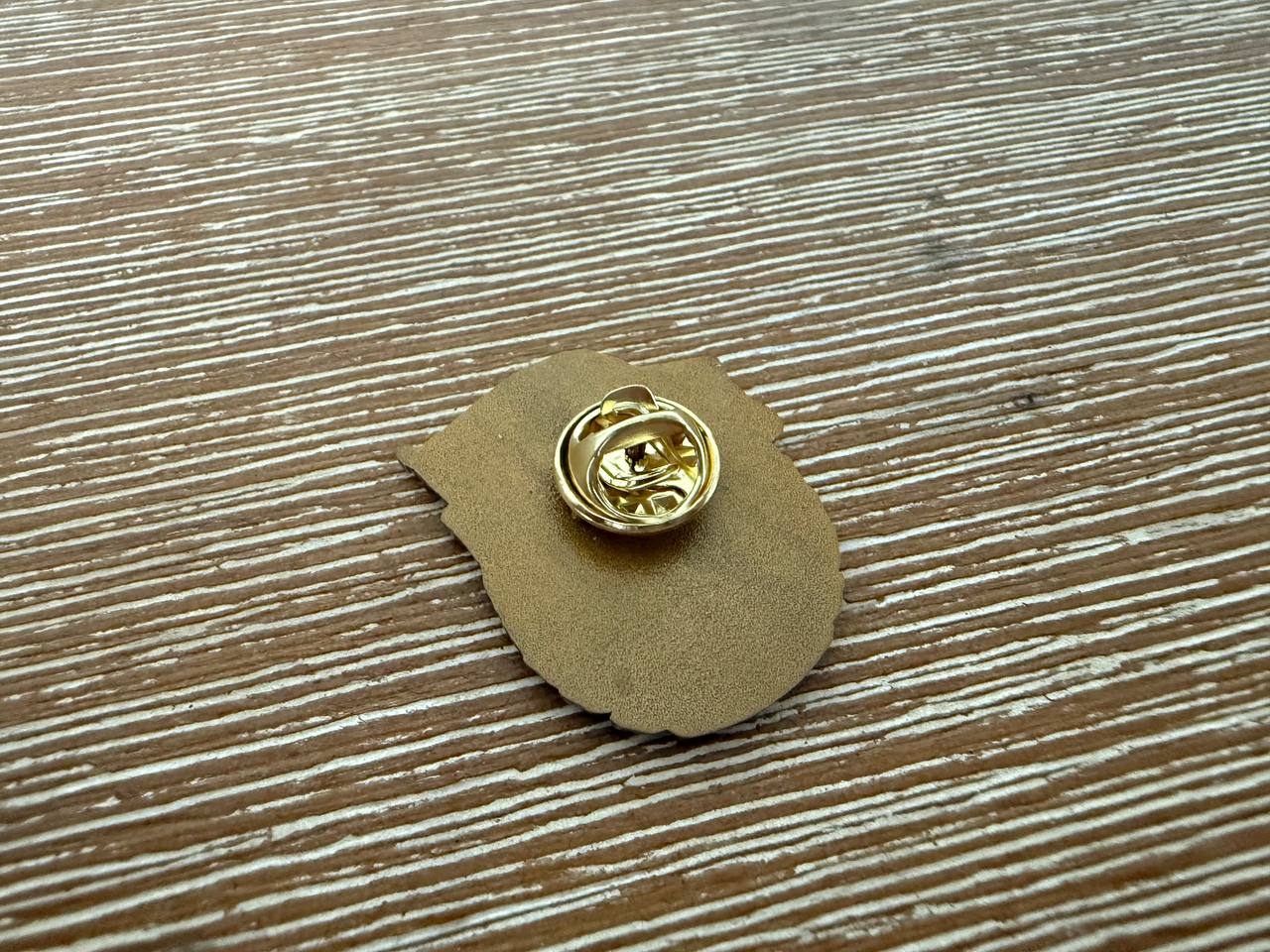 Russian Donetsk People's Republic (DNR) Pin